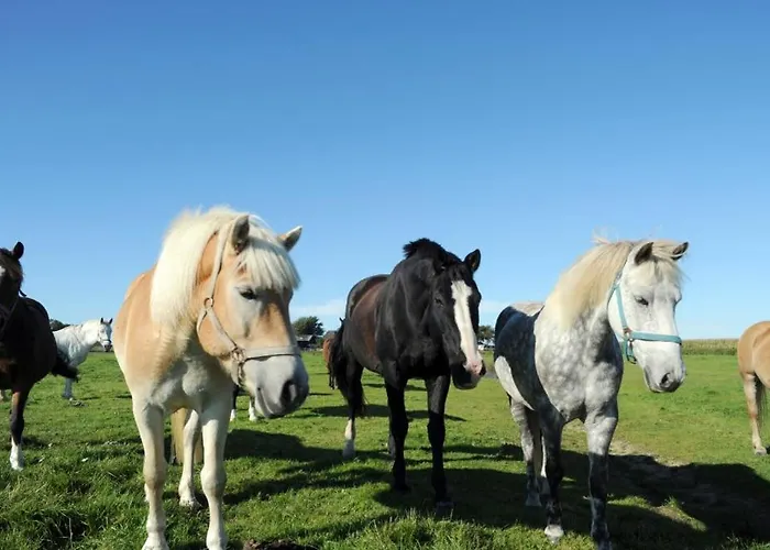 Lejlighed Immensee App B Ehst